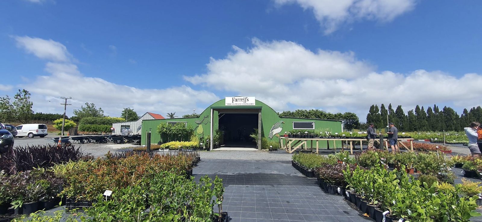 The Farrell's Nursery yard